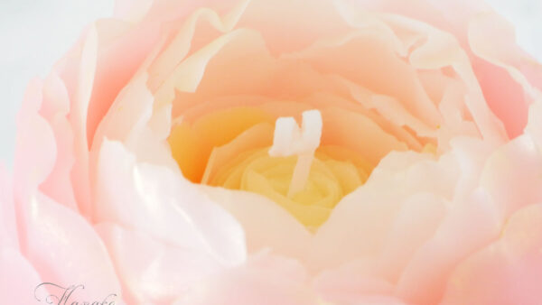 私だけのRoseキャンドルワークショプ