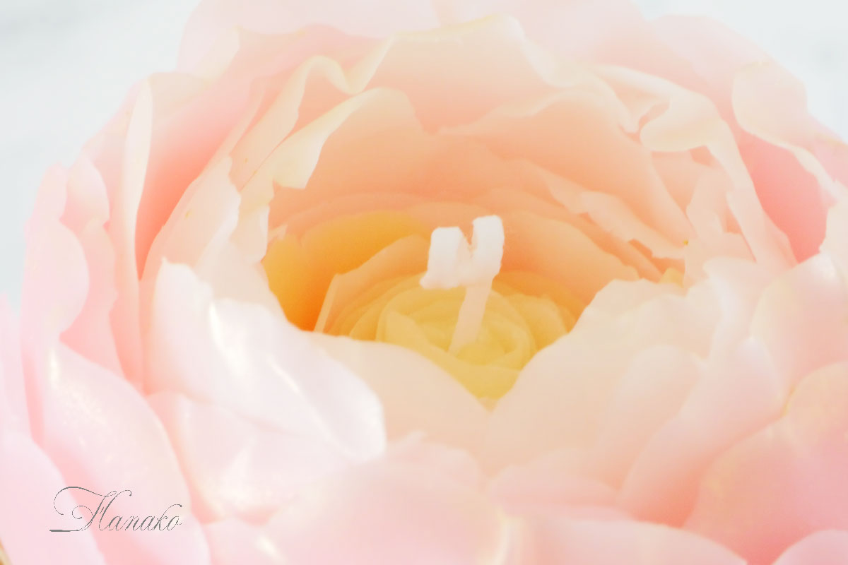 私だけのRoseキャンドルワークショプ | La bougie de Rieco