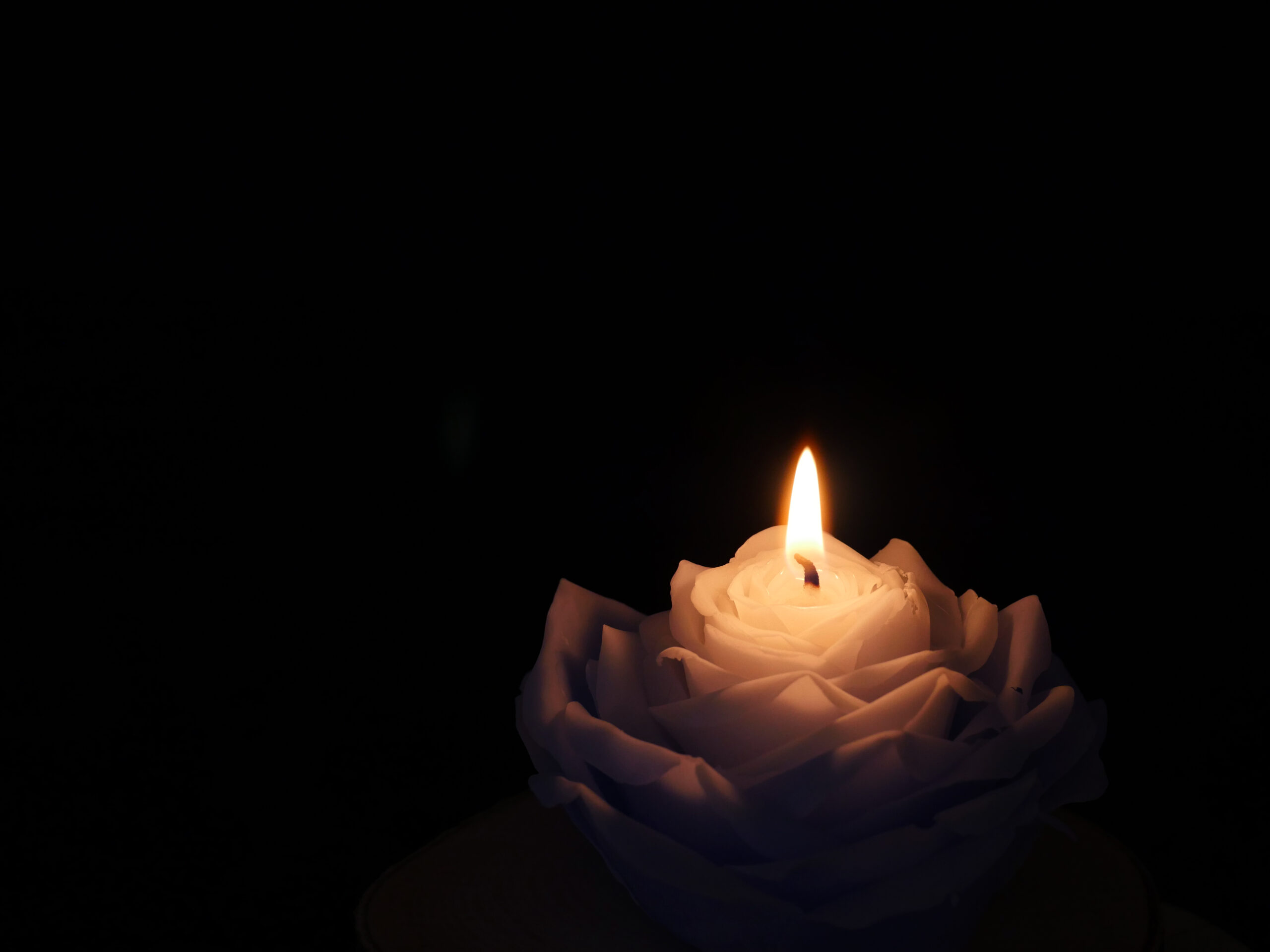 火を灯す
光が生まれ
花が咲く